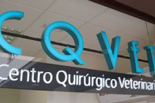 Fotografía de Centro Quirúrgico Veterinario CQVET TUCAN Fotografía de Centro Quirúrgico Veterinario CQVET TUCAN